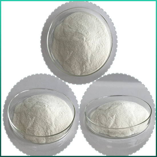 Gala-گالاکتوزیداز